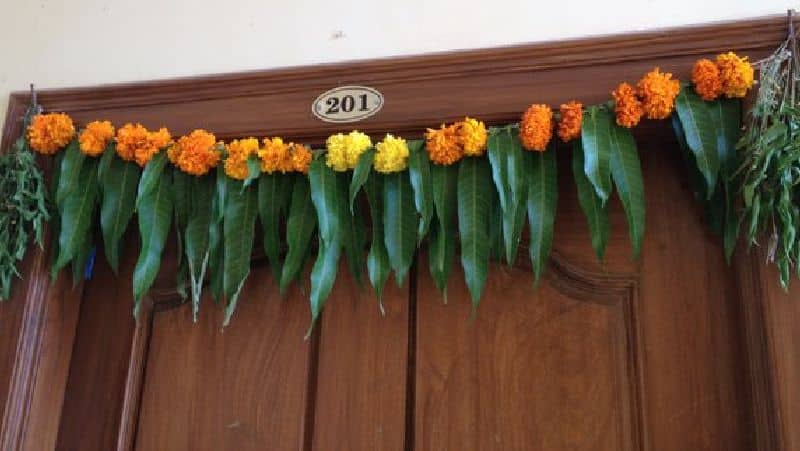 Why does everyone decorate their homes with Mango leaves on festival Vin