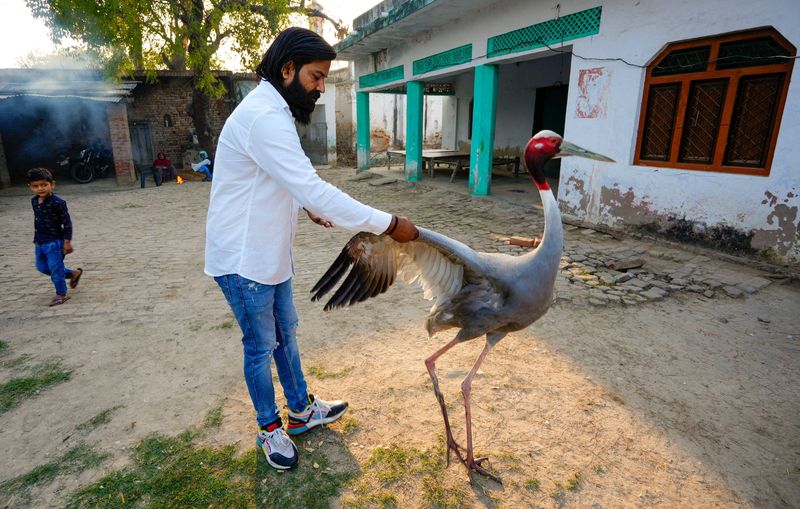 Emotional end to story of Arif Khan Gurjar and the sarus crane