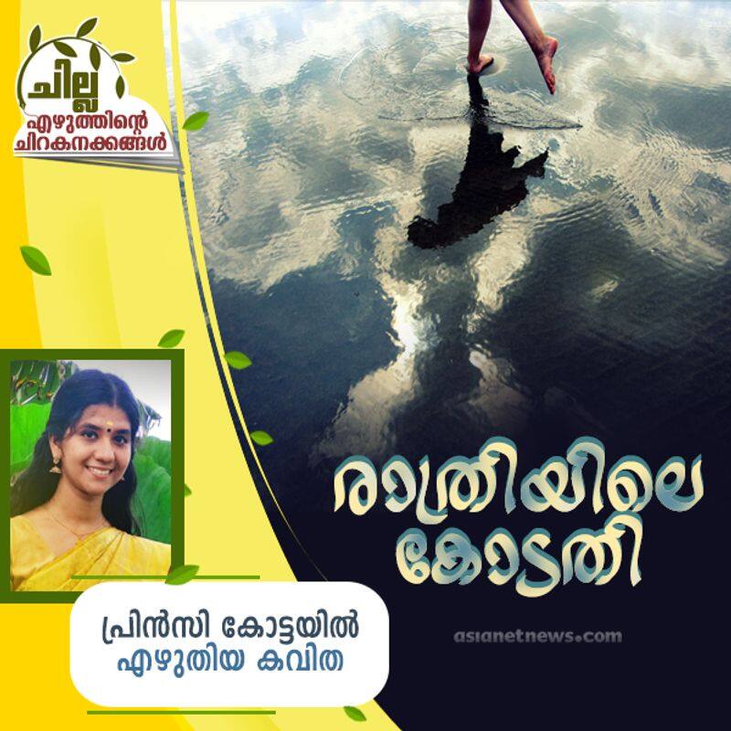 chilla malayalam poem by princy kottayil