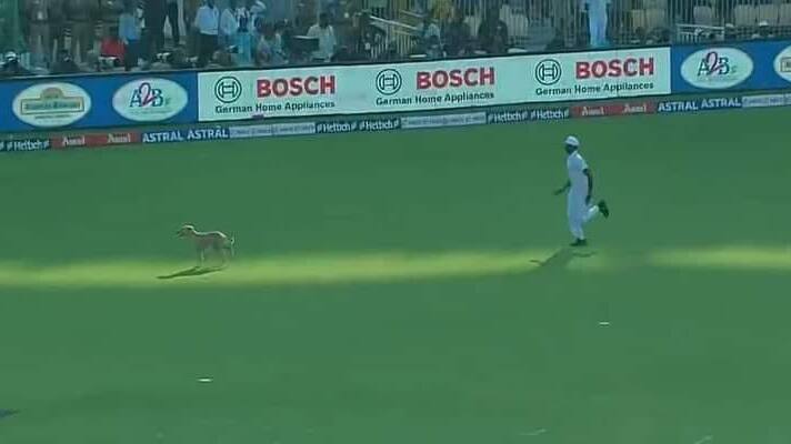 ind vs aus