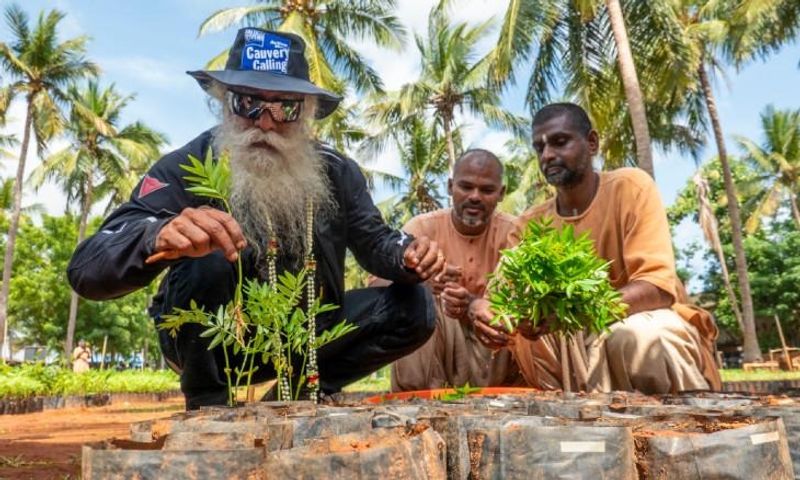 cauvery calling has done record of planting one crore saplings in a year 