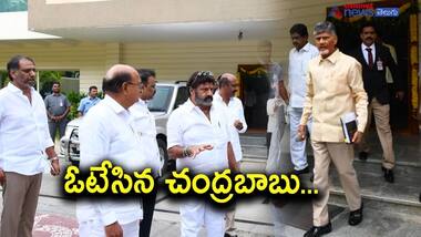 ఎమ్మెల్యేల బృందంతో అసెంబ్లీకి చంద్రబాబు... ఓటేసిన టిడిపి సభ్యులు