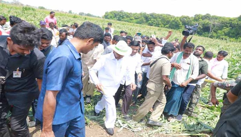 Telangana Government issues G.O. on Crop damage CM KCR lns