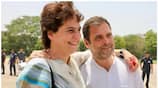 wayanad by election priyanka gandhi  rahul gandhi