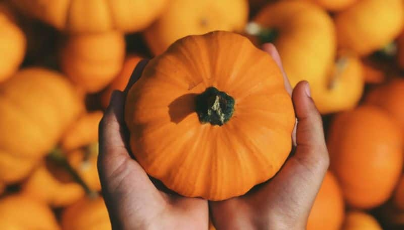 Pumpkin face packs  For Skin care azn