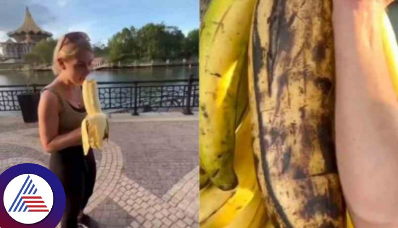 Worlds Largest Banana Species That Weighs More Than 3 Kg Is All You Need To See Vin