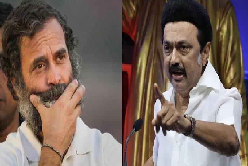 cm stalin condemns the issue of rahul gandhis demotion 