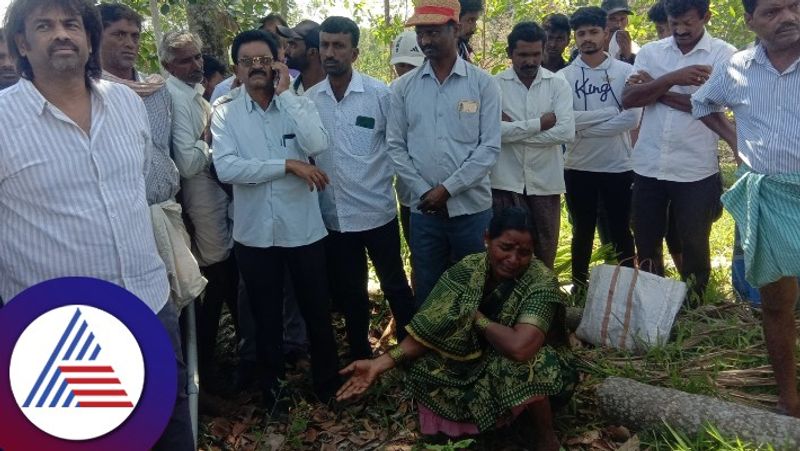 Evacuation of bagarhukum cultivators issue Madhu bangarappa statement at shivamogga rav