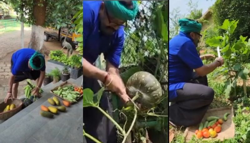 actor jayaram share his vegetable garden video nrn 