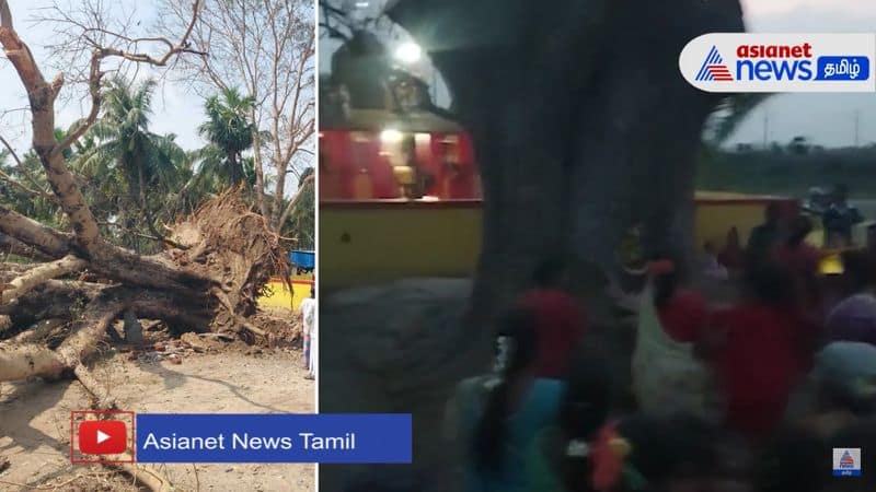 temple tree cutting video goes viral in vellore