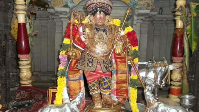 மன்னார்குடி ராஜகோபால சுவாமி கோவிலில் வெண்ணைத்தாழி திருவிழா; சுவாமி மீது வெண்ணை வீசி வழிபாடு!