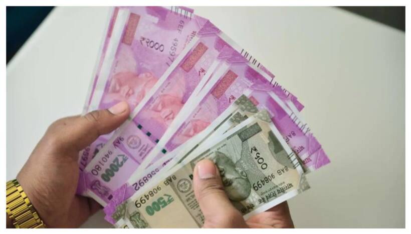 Business Ideas: సంవత్సరంలో 365 రోజులు డిమాండ్ తగ్గని బిజినెస్ ఇదే..కేవలం రూ.2.5 లక్షలు పెట్టుబడితో డబ్బే డబ్బు