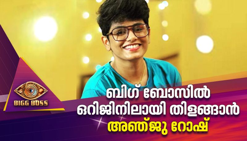 Bigg Boss Malayalam Season 5 contestant Anju Rosh profile rse