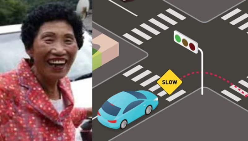 Woman passes driving test at 960th attempt with expense of more than 11 lakh etj