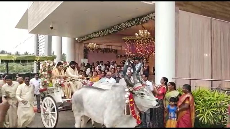 Newly married couple ride in Bullock cart in erode video goes viral