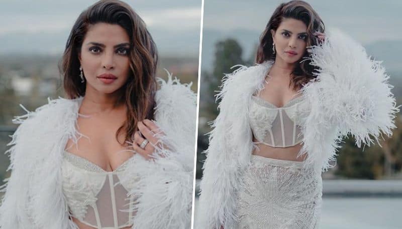 Priyanka chopra froze her eggs in early 30s