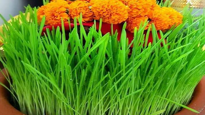 jaware visarjan 2023