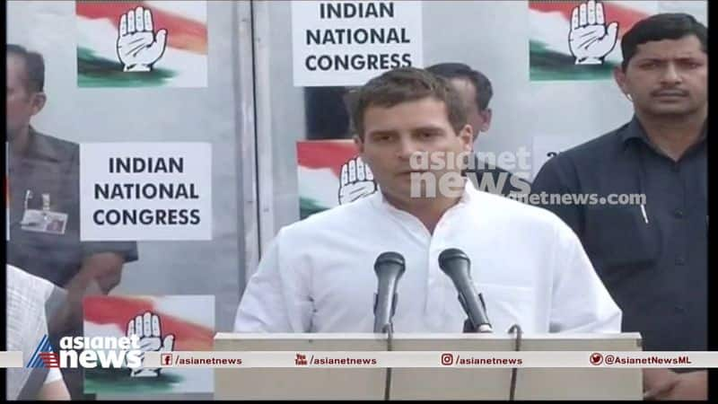 The political life of Rahul Gandhi