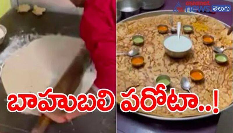 Viral Video: This Giant Paratha From Jaipur Weighs A Whopping 5 Kilos ram