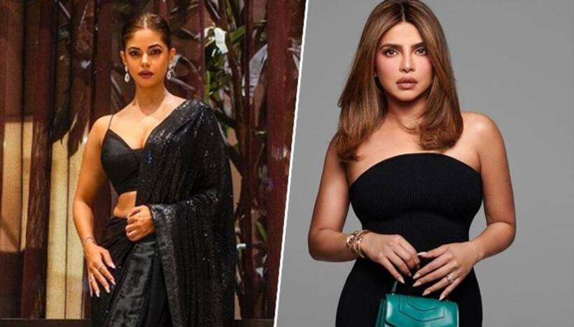 'Tight slap on their faces': Actor Meera Chopra defends the 'Citadel' star Priyanka Chopra