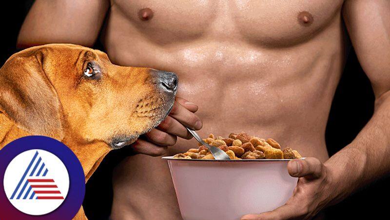 To develop muscles dog food suggested by one American