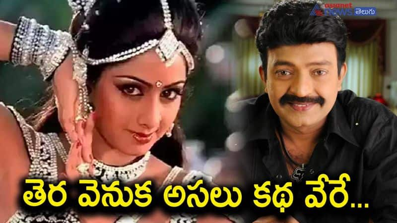 hero rajasekhar asked to marry sridevi by her father-know the reason for rejecting the proposal