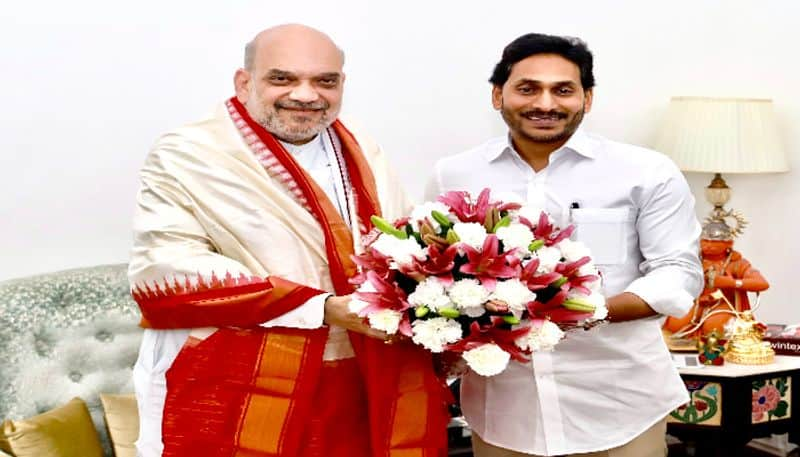 AP CM  Jagan  meets  Union Minister  Amit Shah lns 