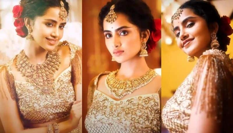 Actress Anupama Parameswaran attracts with her traditional Look NSK