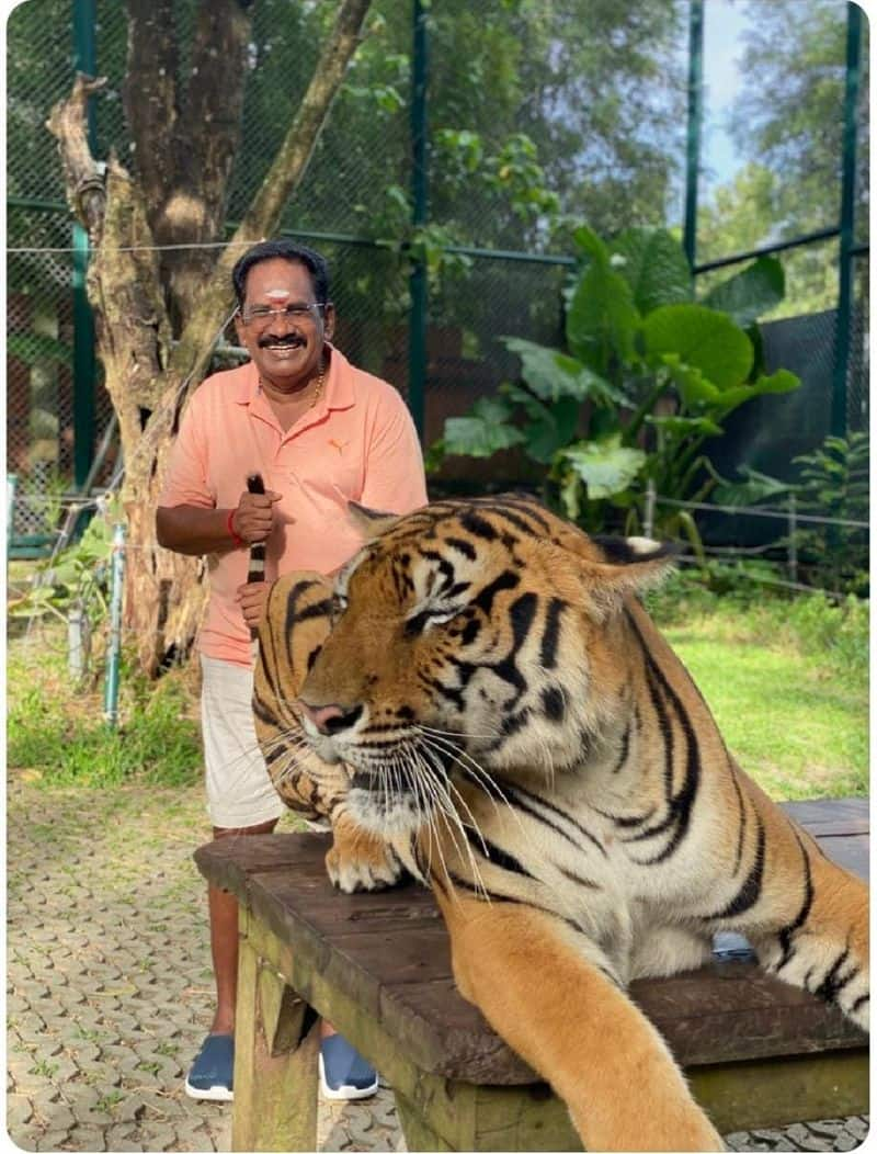 Minister Thangam Tennarasu said that he was shocked to see Sellur Raju holding the tiger tail