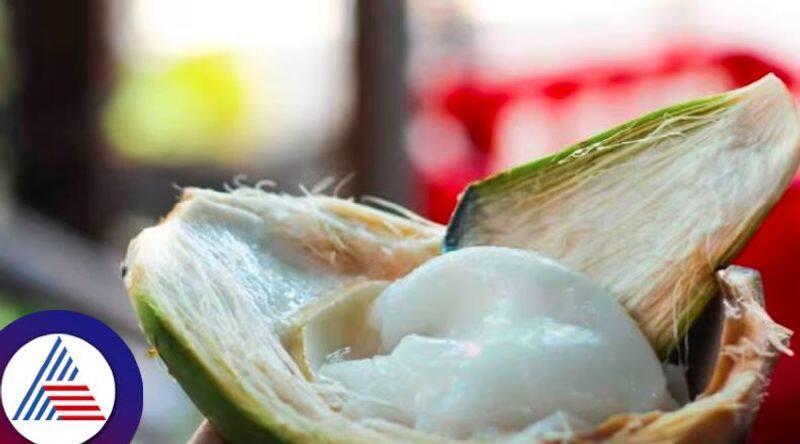 From weight loss to heart health, surprising benefits of coconut malai Vin