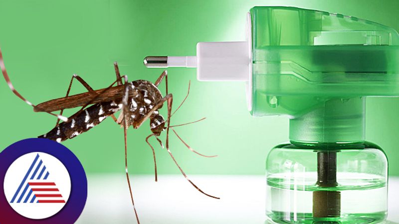 Are Mosquito Repellent Creams Dangerous? What Experts Say ram