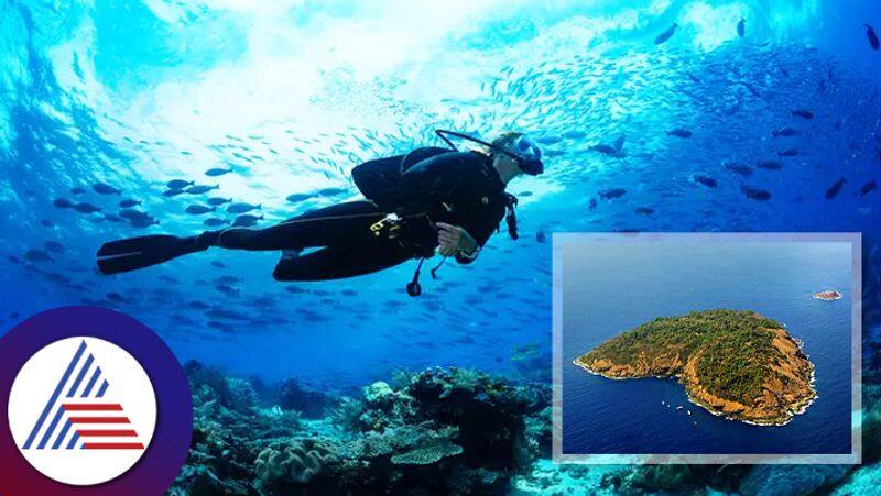 You will get best experience of scuba diving at Netrani Island 