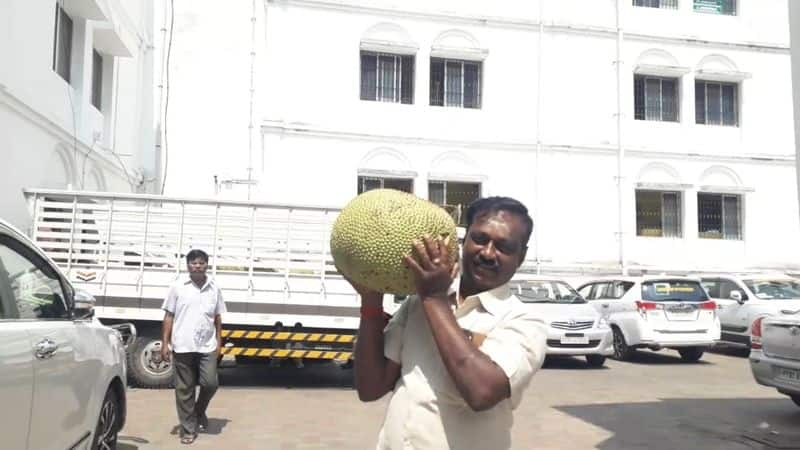 bjp mla kalyanasundaram distribute jackfruit to puducherry assembly members in assembly campus