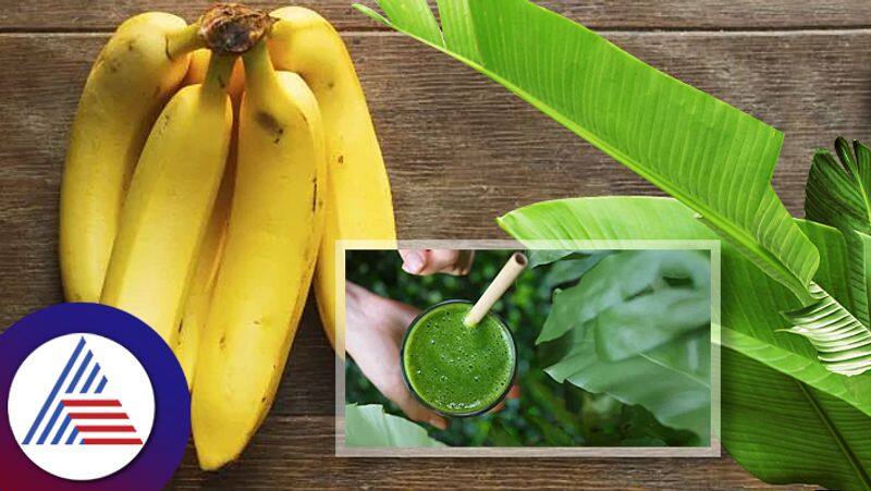 Benefits Of Drinking Boiled Banana Leaves Water