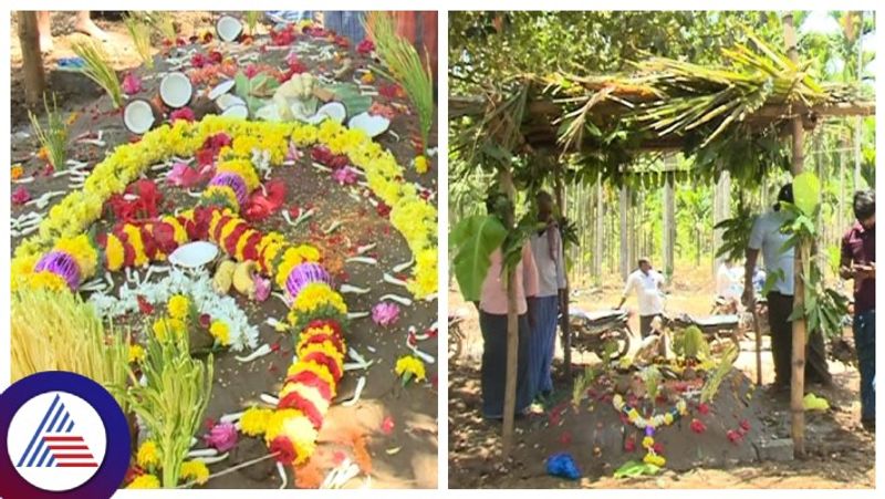 villagers performed the cremation of the donkey in chitradurga gow