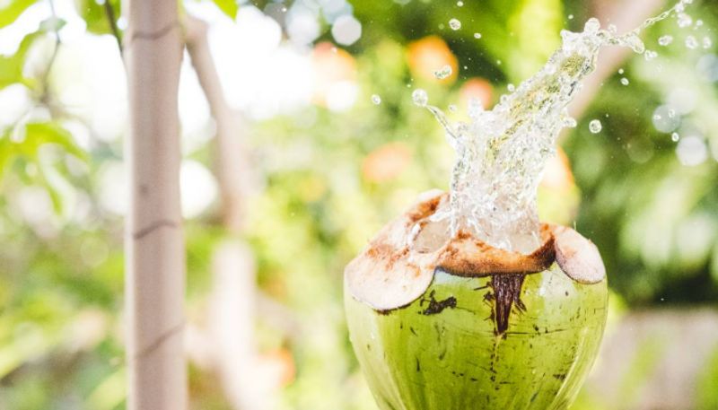 benefits of drinking coconut water you should know azn 