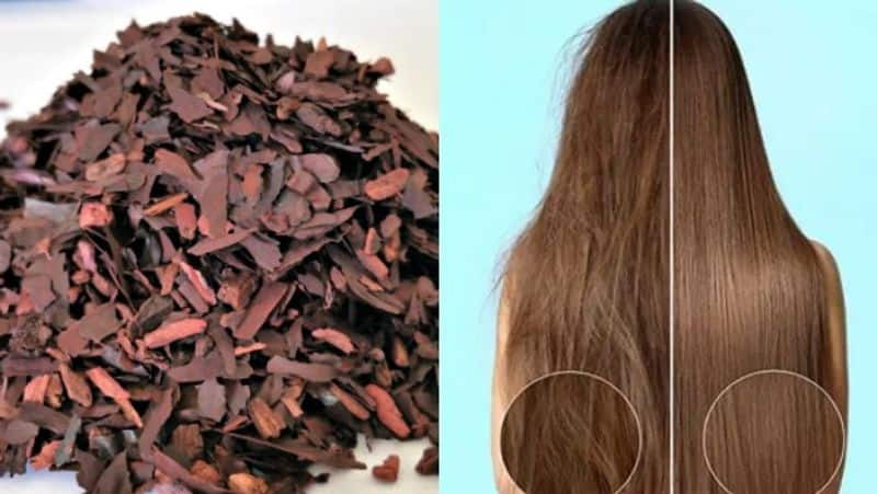 vembalam pattai benefits for hair growth in tamil mks