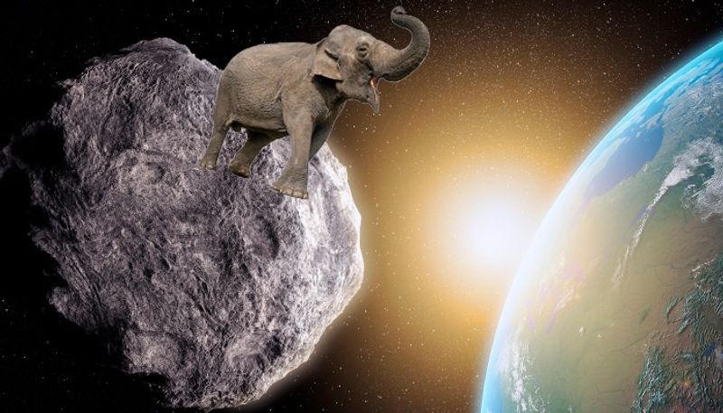 Asteroid 2023 FM the size of 90 elephants  speeding towards Earth Check details gcw