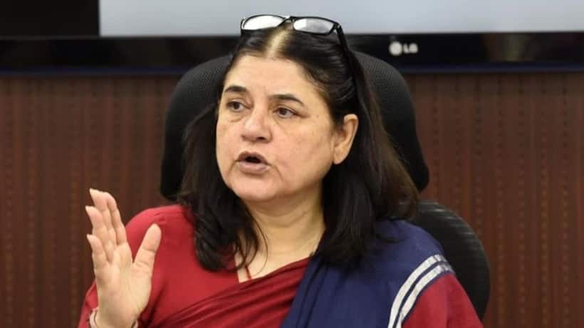 ఆవులను ఇస్కాన్ కసాయిలకు అమ్ముతోంది   బీజేపీ ఎంపీ మేనకాగాంధీ సంచలన ఆరోపణలు.. వీడియో వైరల్
