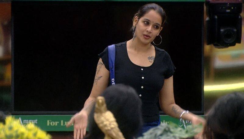 mad vibe devu shares her life experience at bigg boss malayalam season 5 nsn