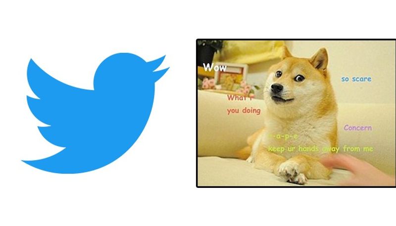 Twitter logo changed from iconic blue bird to doge meme details here gcw