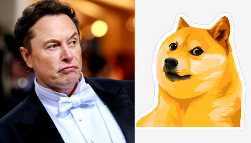 elon musk replaced the blue bird logo of Twitter with Doge meme apk