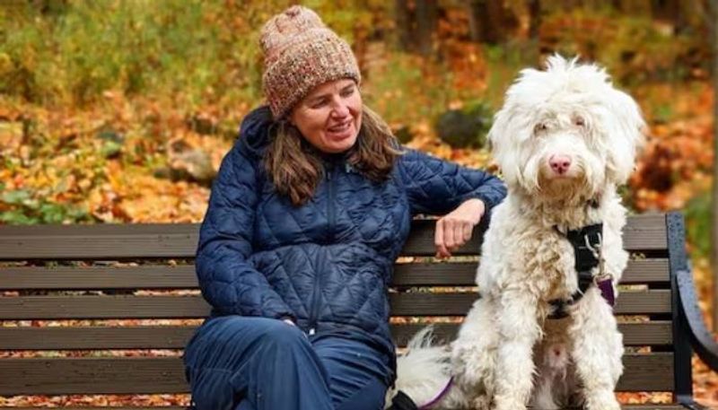 Deaf And Blind Dog recognize owner with touch rlp