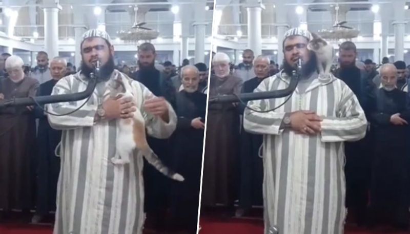 Ramadan 2023: Cat jumps on Imam during live broadcast of prayers in Algeria; video goes viral AJR