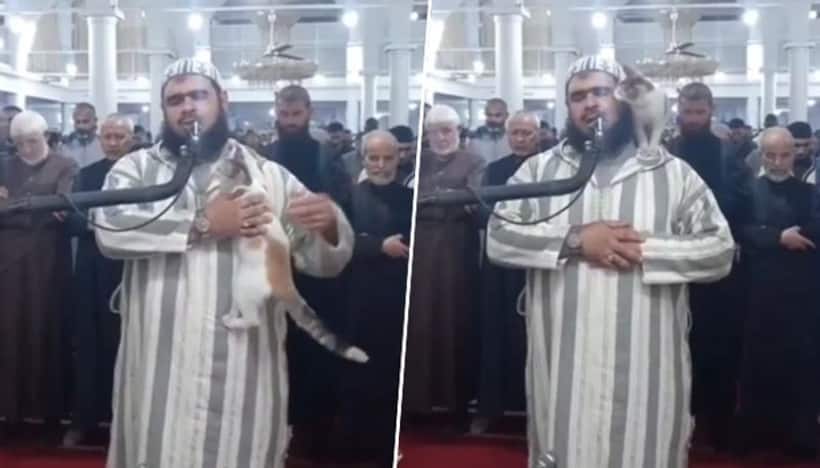 Ramadan 2023: Cat jumps on Imam during live broadcast of prayers in Algeria; video goes viral