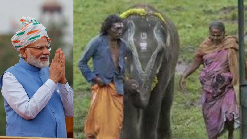 Prime Minister Narendra Modi honors Oscar winner Elephant Whispers Bomma Belli sat