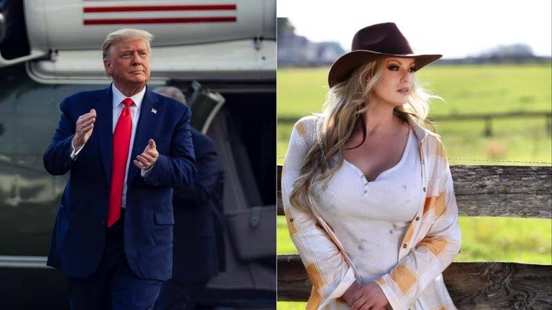 donald trump and stormy daniels Scandal Porn star President and Money san