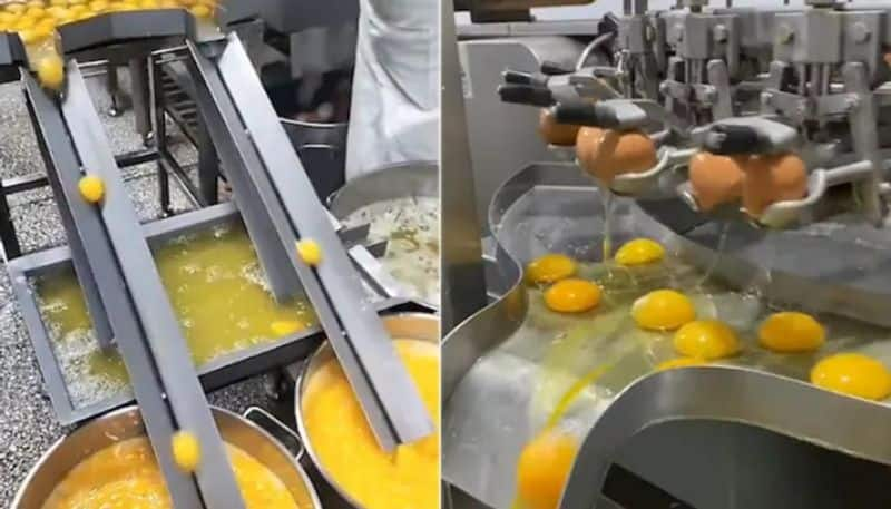 video in which eggs are breaking with a machine and separates its yolk and white correctly hyp 