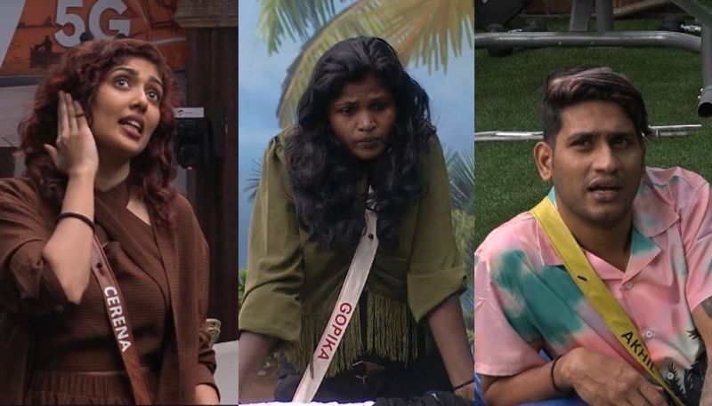 fight between gopika gopi and other contestants in bigg boss malayalam season 5 nsn