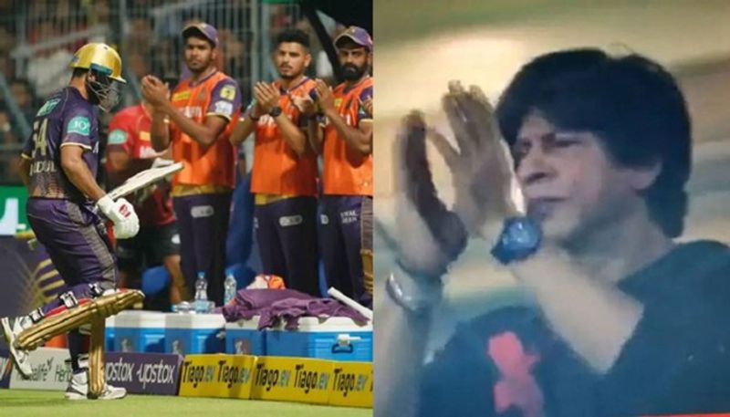 watch video shah rukh khan giving standing ovation to shardul thakur saa